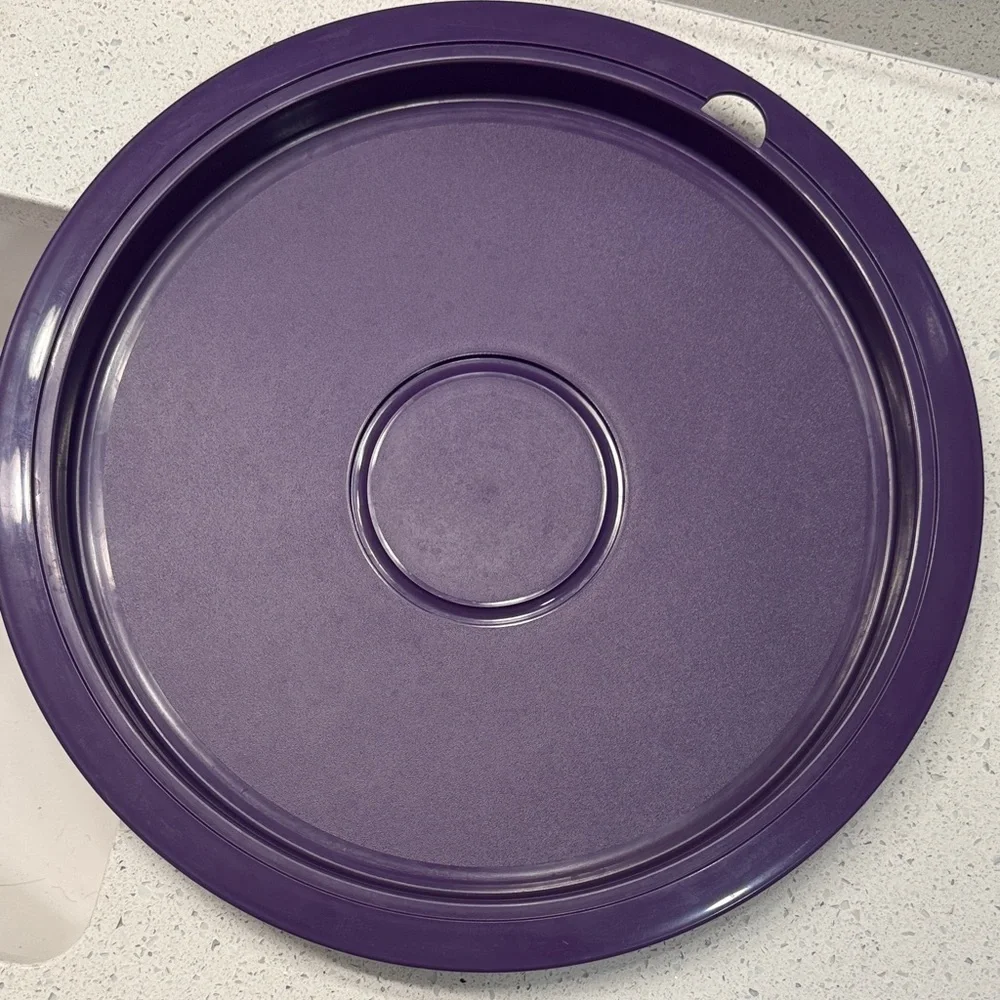 Tupperware Large Serving Tray with Adjustable Divider Sections